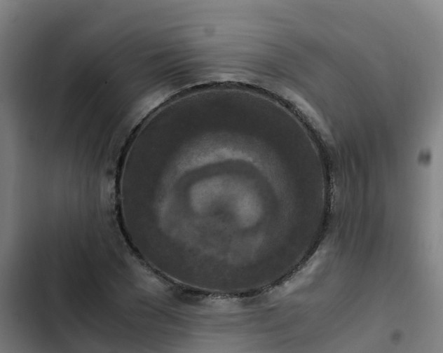 X0000103140977200808291334