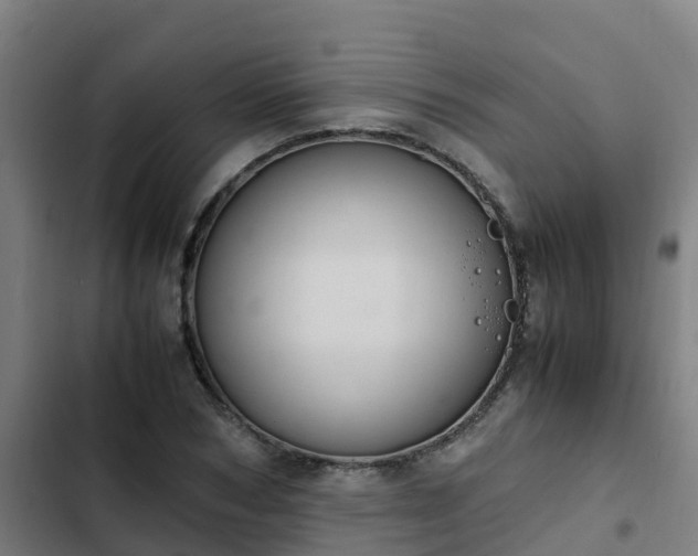 X0000103140978200808291334