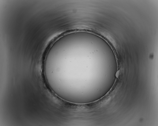 X0000103140979200808291334