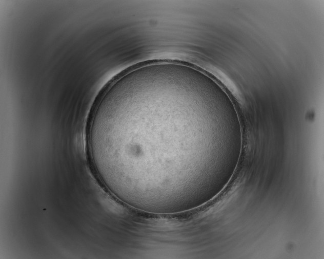 X0000103140980200808291334