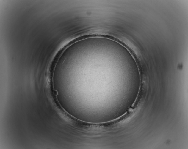 X0000103140981200808291334