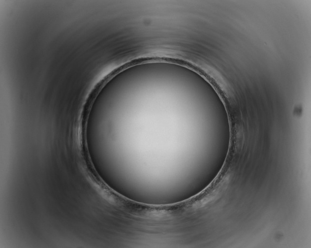 X0000103140982200808291334