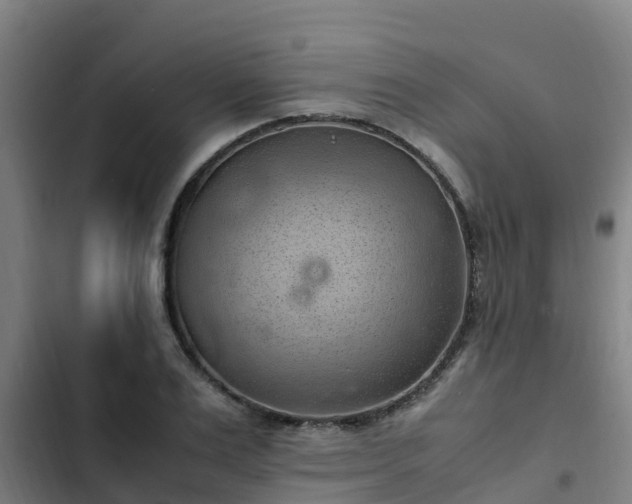 X0000103140983200808291334