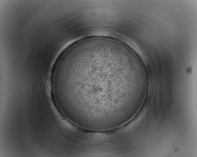 X0000103140984200808291334