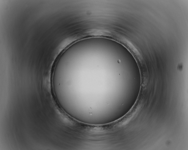 X0000103140986200808291334