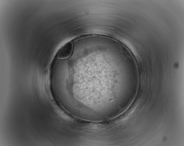 X0000103140987200808291334