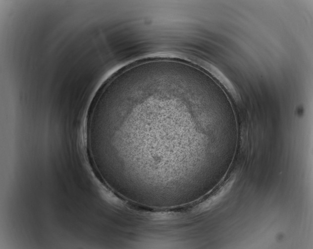 X0000103140988200808291334