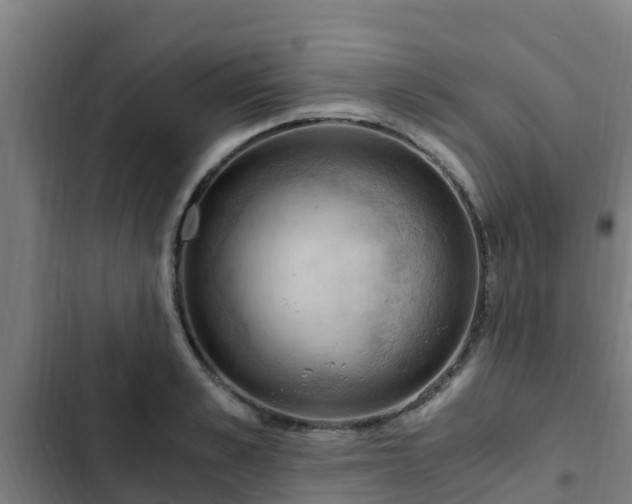 X0000103140989200808291334