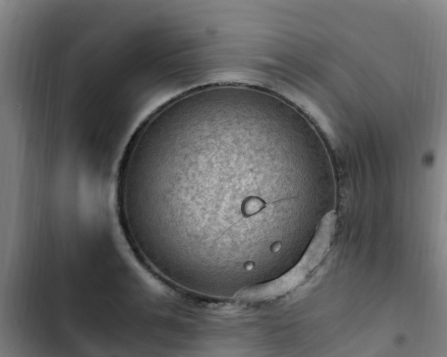 X0000103140991200808291334