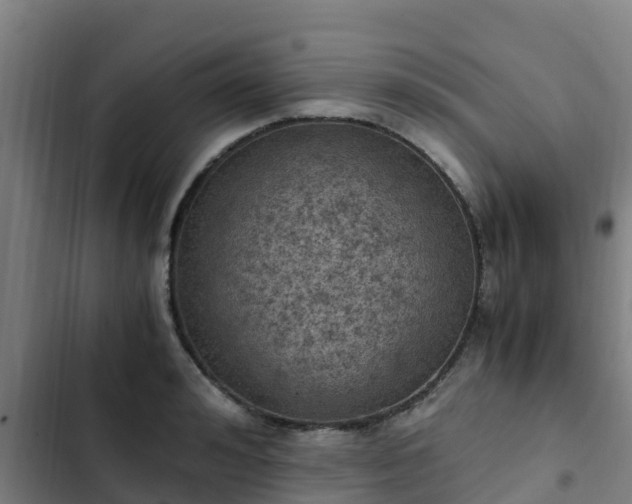 X0000103140992200808291334