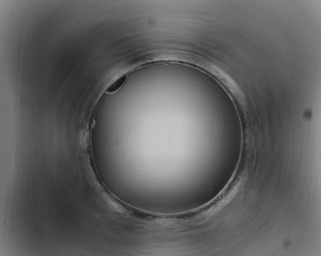 X0000103140993200808291334