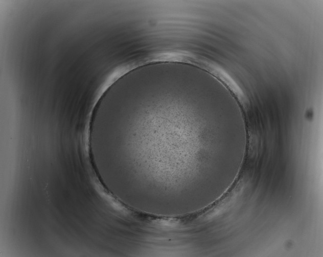 X0000103140994200808291334