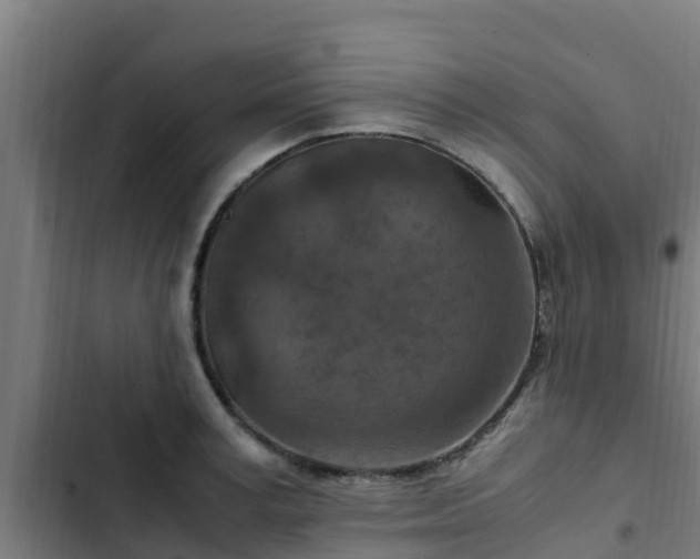 X0000103140995200808291334