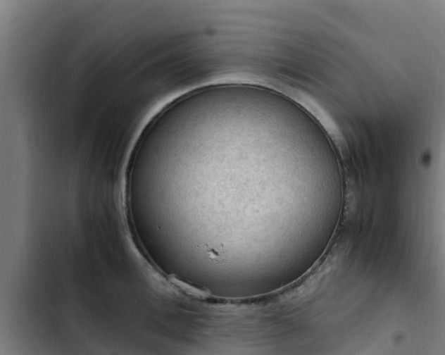 X0000103140996200808291334