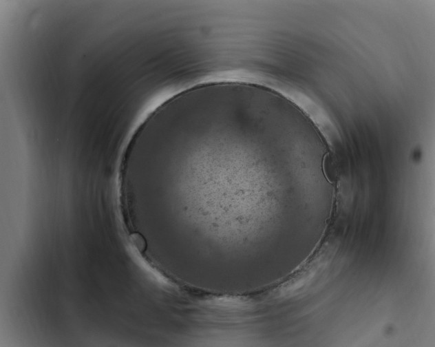 X0000103140998200808291334