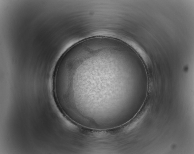 X0000103140999200808291334