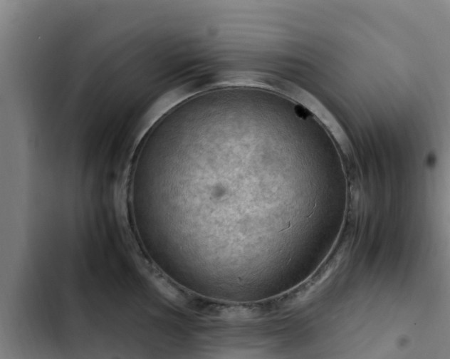 X0000103141002200808291334