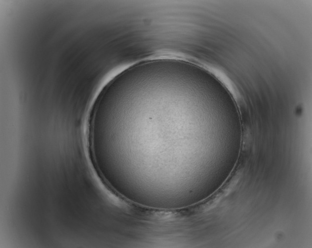 X0000103141003200808291334