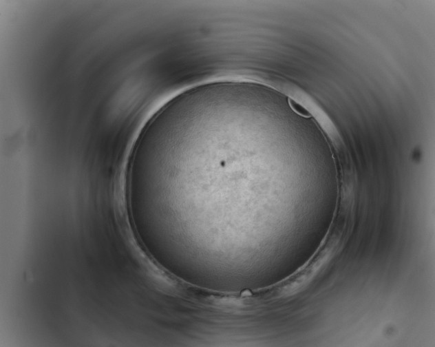 X0000103141004200808291334