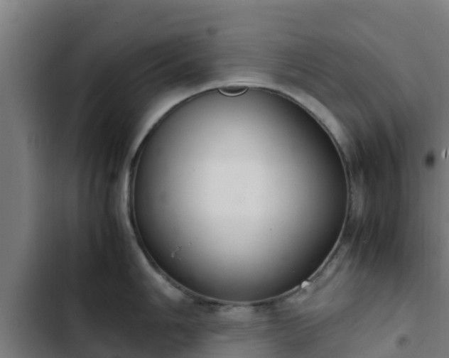 X0000103141006200808291334