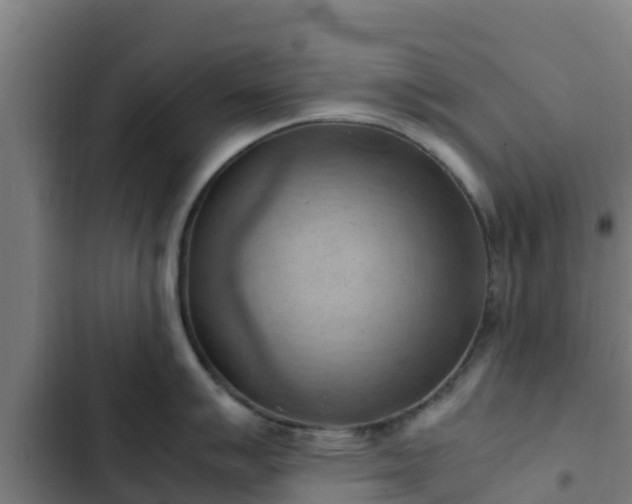 X0000103141007200808291334