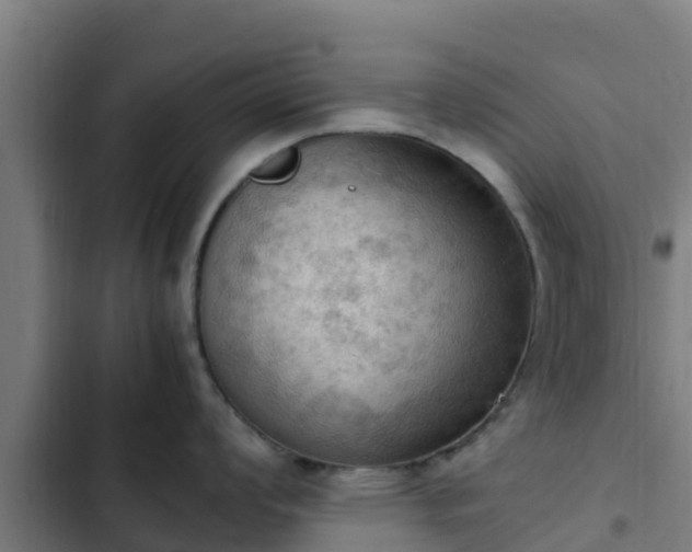 X0000103141008200808291334