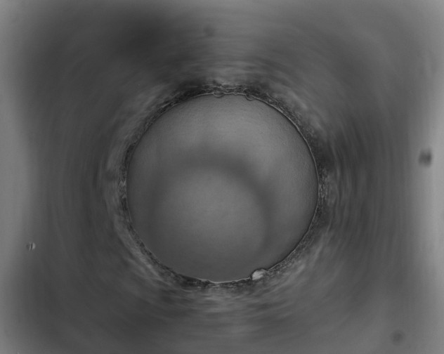 X0000103141009200808291333