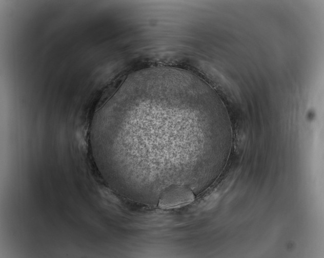 X0000103141010200808291333