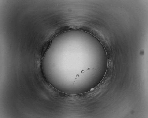 X0000103141012200808291333