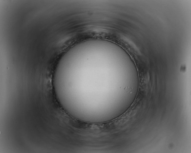 X0000103141013200808291333