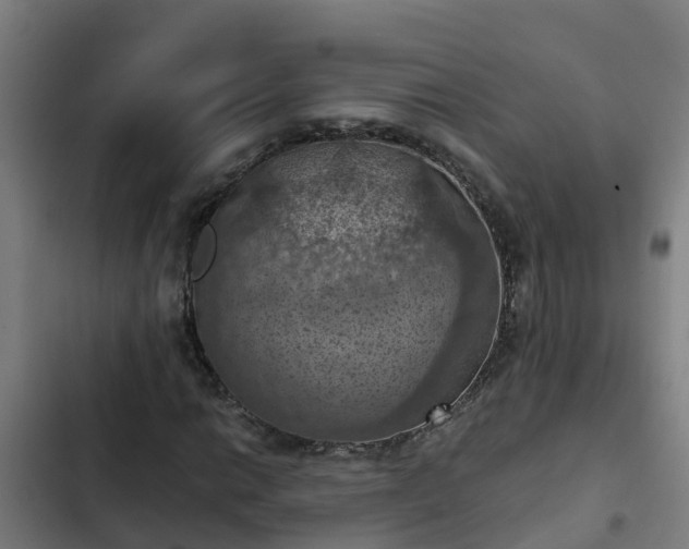 X0000103141014200808291333