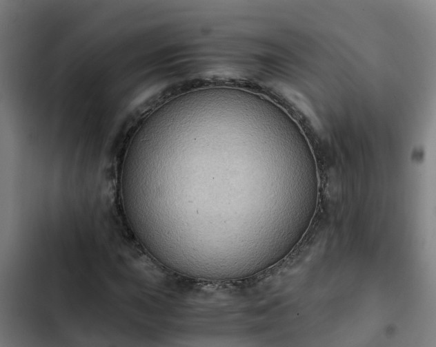 X0000103141015200808291333