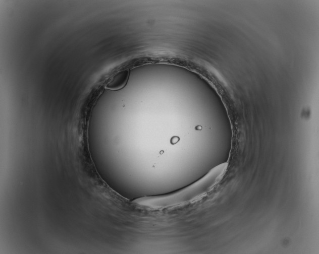 X0000103141016200808291333