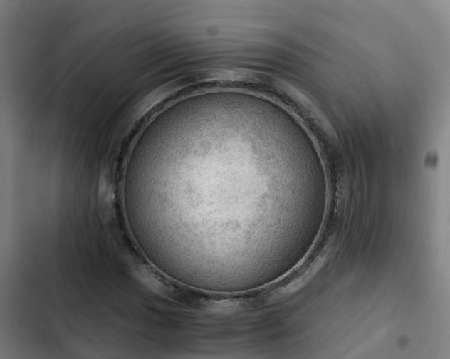 X0000103141017200808291333