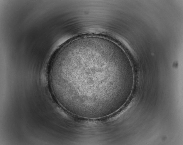 X0000103141018200808291333