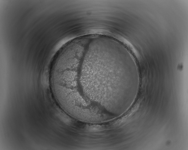 X0000103141019200808291333