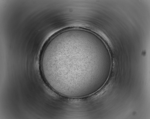 X0000103141020200808291333