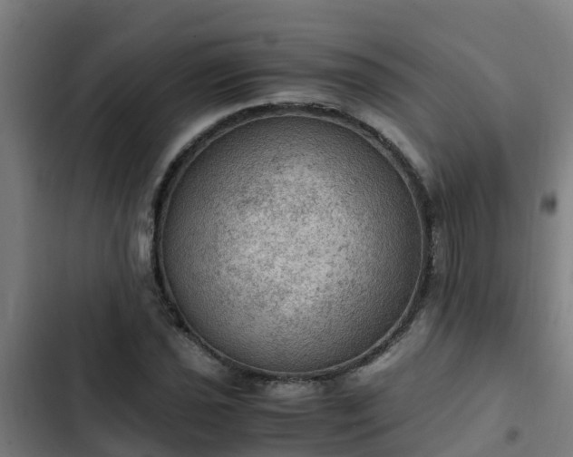 X0000103141021200808291333