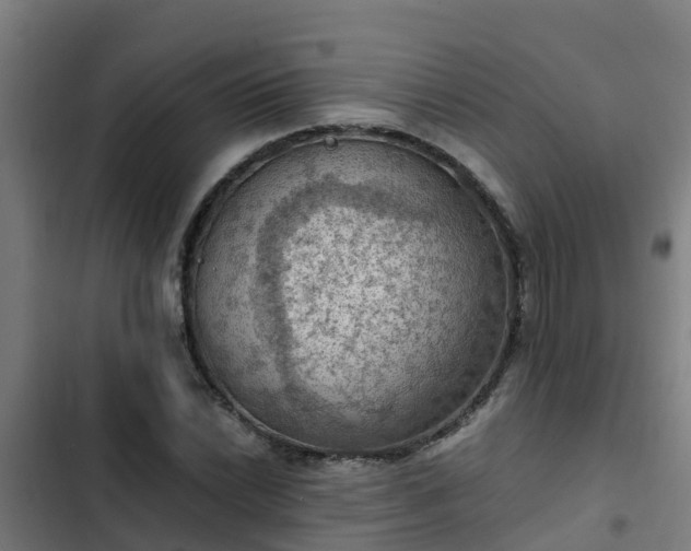 X0000103141022200808291333