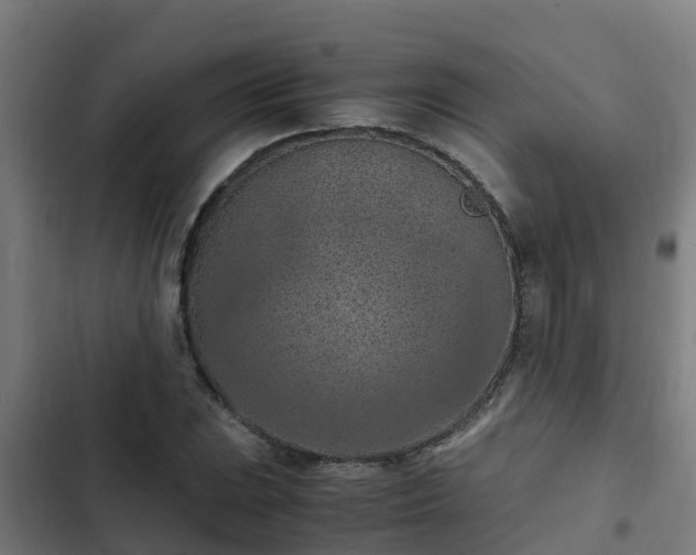 X0000103141023200808291333