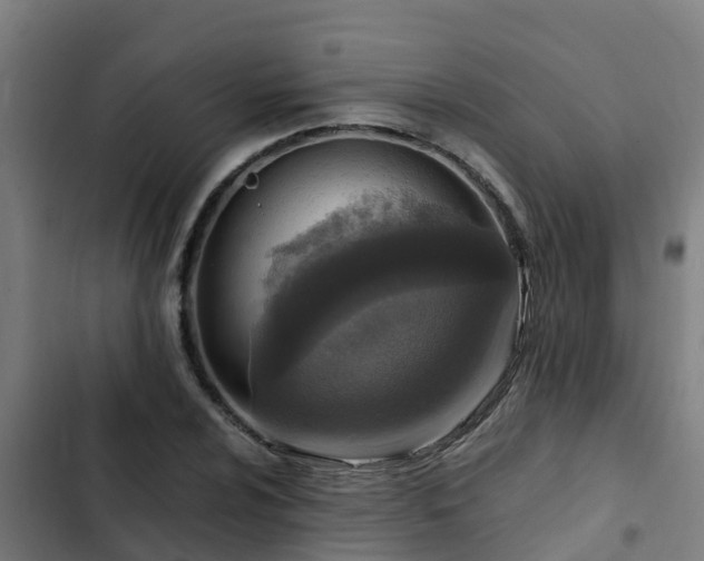 X0000103141024200808291333