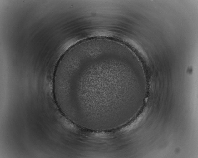 X0000103141025200808291333