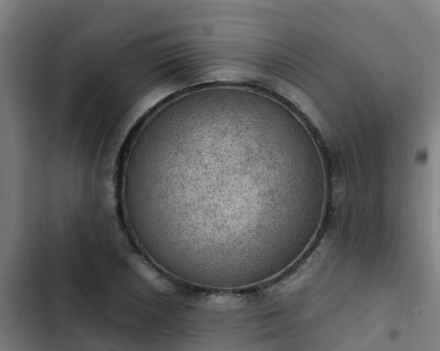 X0000103141026200808291333