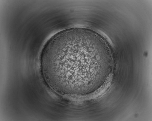 X0000103141027200808291333