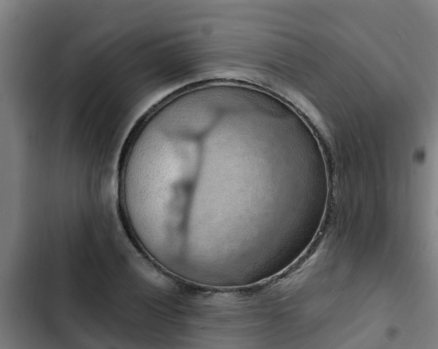 X0000103141028200808291333