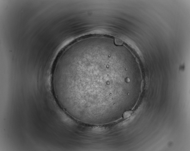 X0000103141029200808291333