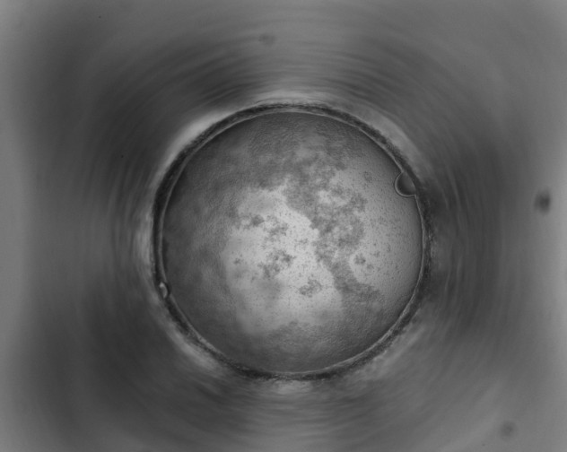 X0000103141030200808291334