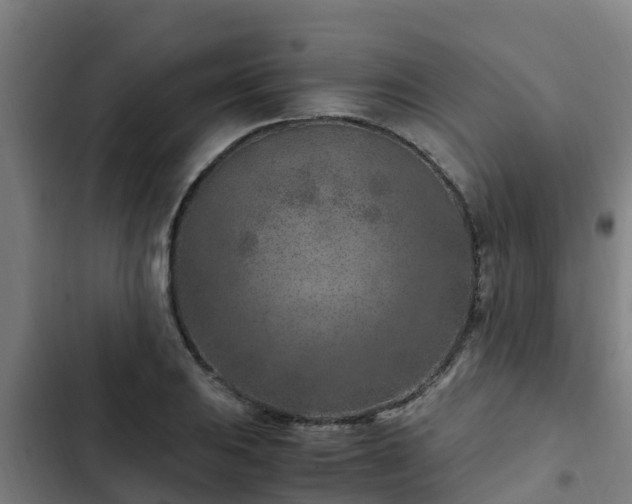 X0000103141031200808291334