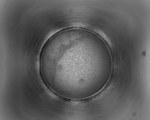 X0000103141032200808291334