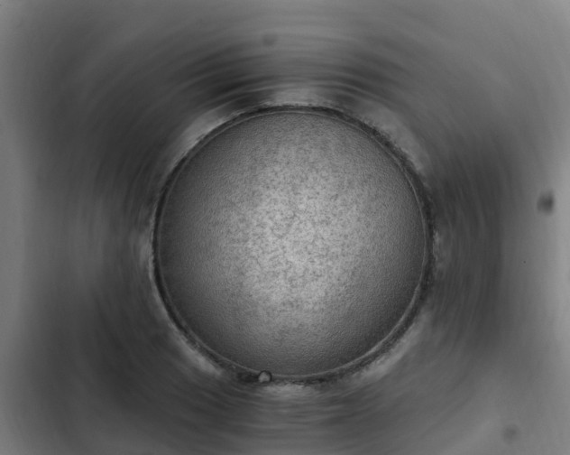 X0000103141033200808291334